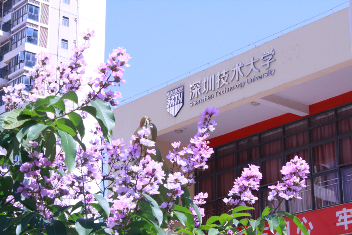 2019黄瓜导航在线观看團體標準啟動儀式